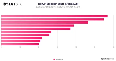 Top Cat Breeds in South Africa 2024