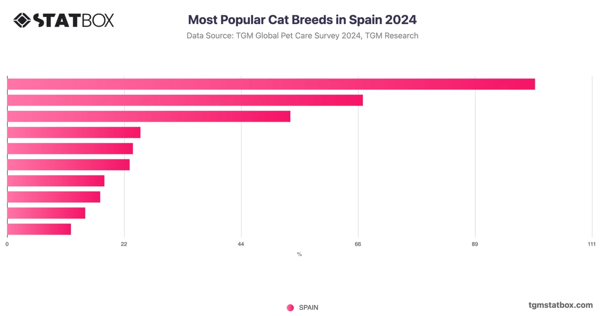 Most Popular Cat Breeds in Spain 2024