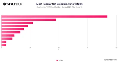 Most Popular Cat Breeds in Turkey 2024