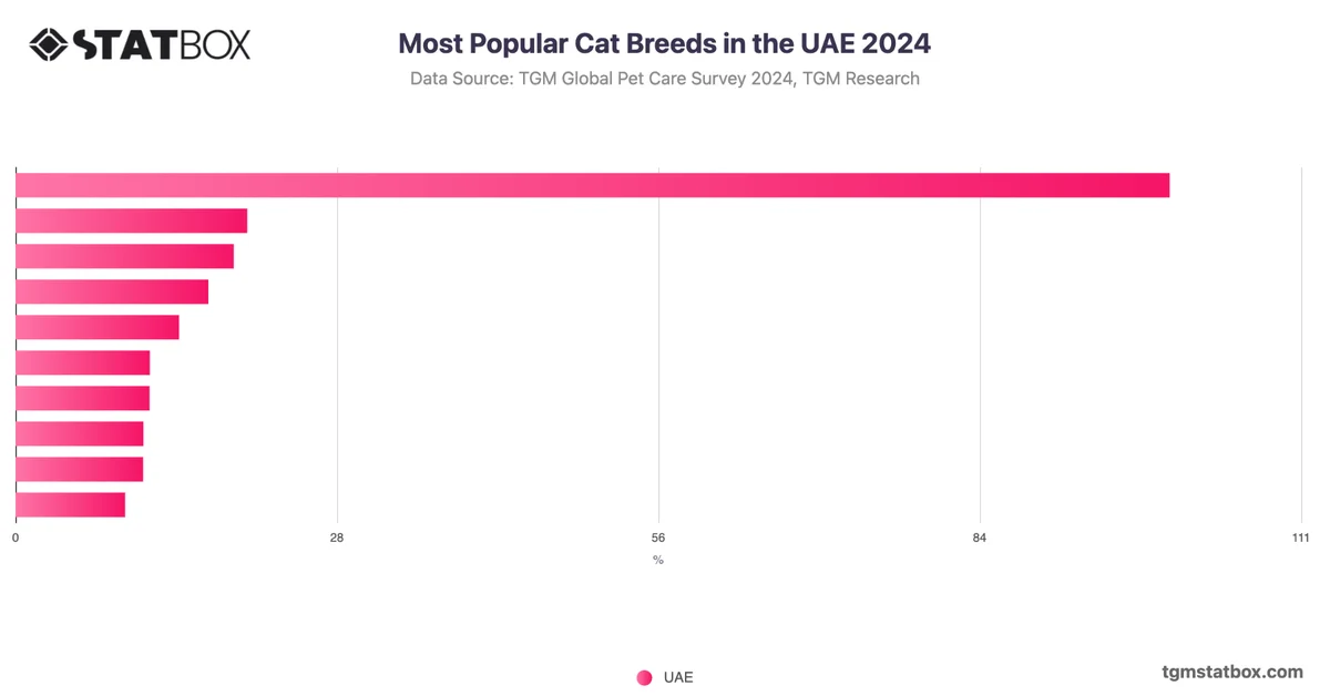 Most Popular Cat Breeds in the UAE 2024