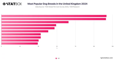 Most Popular Dog Breeds in the United Kingdom 2024