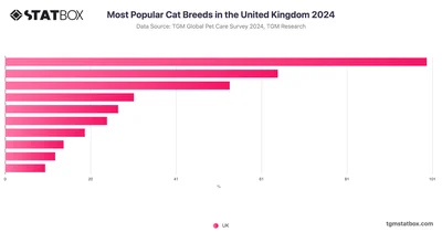 Most Popular Cat Breeds in the United Kingdom 2024