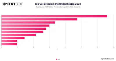 Top Cat Breeds in the United States 2024