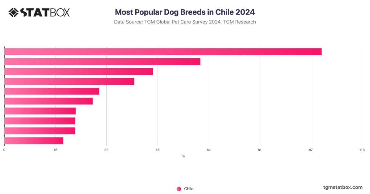 Most Popular Dog Breeds in Chile 2024
