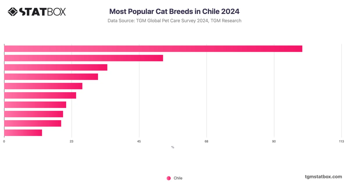 Most Popular Cat Breeds in Chile 2024