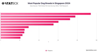 Most Popular Dog Breeds in Singapore 2024