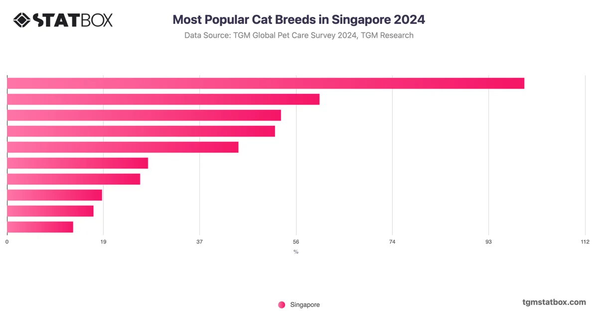 Most Popular Cat Breeds in Singapore 2024