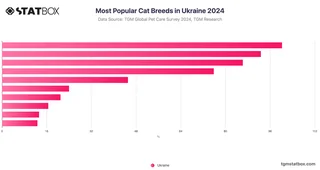 Most Popular Cat Breeds in Ukraine 2024