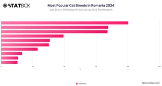 Most Popular Cat Breeds in Romania 2024