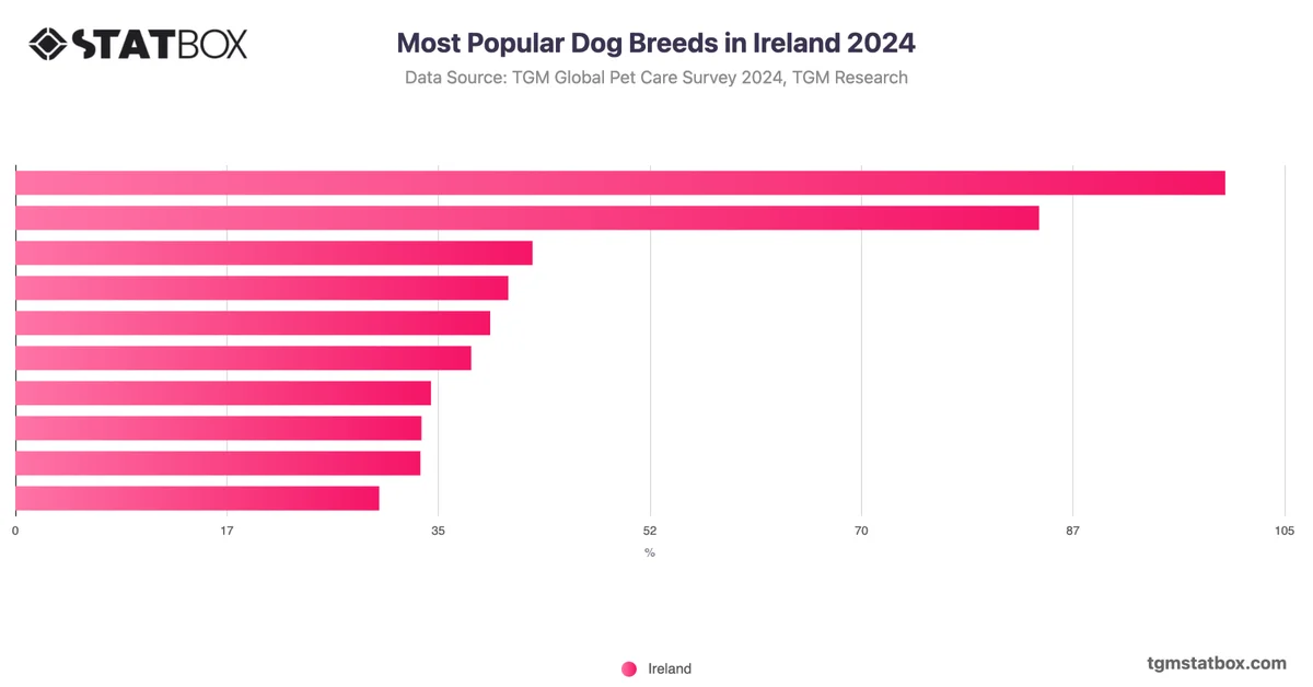 Most Popular Dog Breeds in Ireland 2024