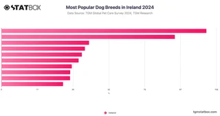 Most Popular Dog Breeds in Ireland 2024