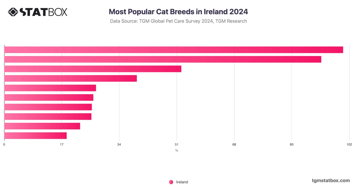Most Popular Cat Breeds in Ireland 2024