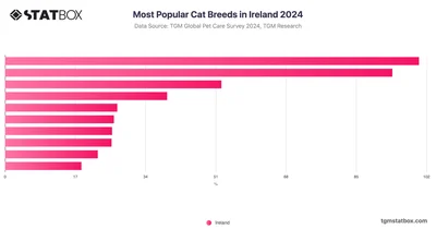 Most Popular Cat Breeds in Ireland 2024