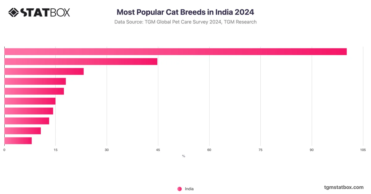Most Popular Cat Breeds in India 2024