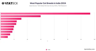 Most Popular Cat Breeds in India 2024