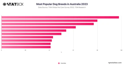 Most Popular Dog Breeds in Australia 2023