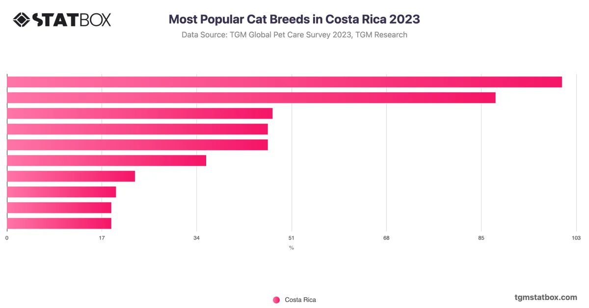 Most Popular Cat Breeds in Costa Rica 2023