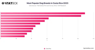 Most Popular Dog Breeds in Costa Rica 2023