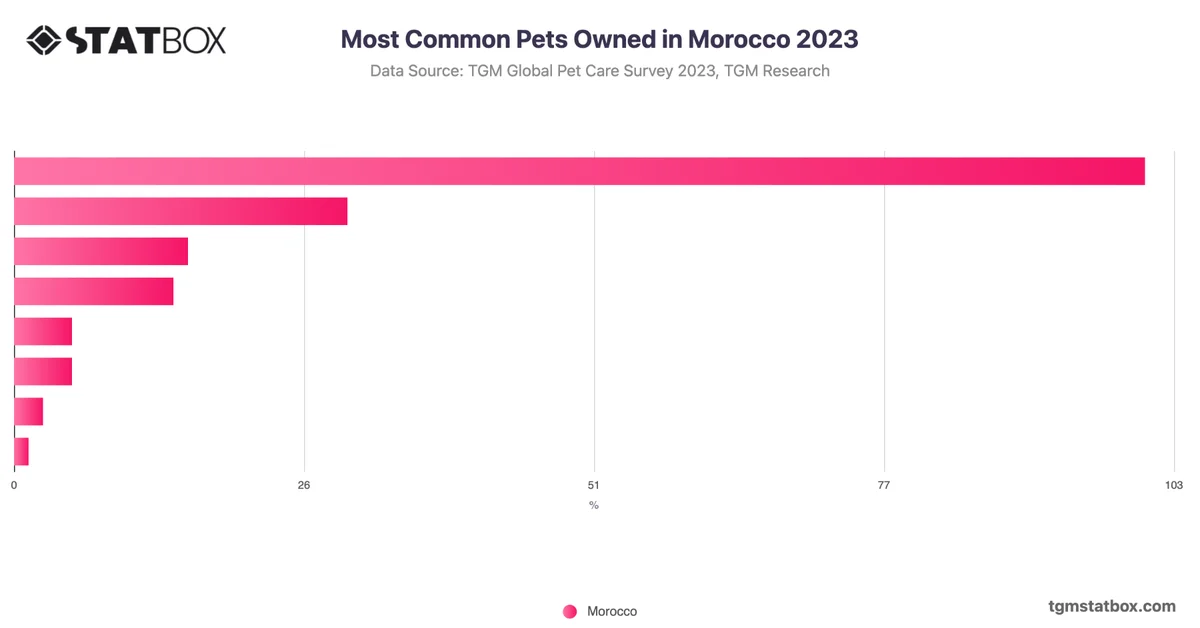 Most Common Pets Owned in Morocco 2023