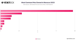 Most Common Pets Owned in Morocco 2023