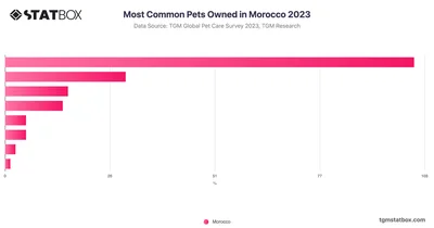 Most Common Pets Owned in Morocco 2023