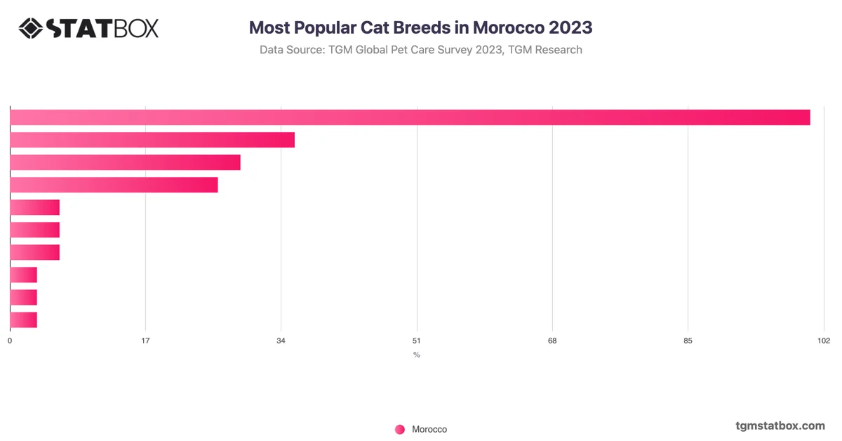 Most Popular Cat Breeds in Morocco 2023