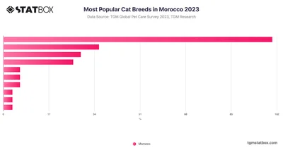 Most Popular Cat Breeds in Morocco 2023