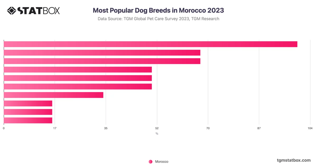 Most Popular Dog Breeds in Morocco 2023