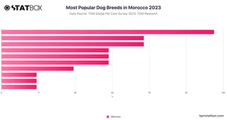 Most Popular Dog Breeds in Morocco 2023