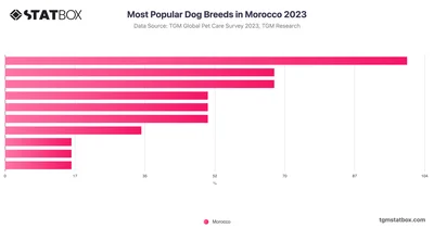 Most Popular Dog Breeds in Morocco 2023