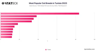 Most Popular Cat Breeds in Tunisia 2023
