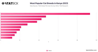 Most Popular Cat Breeds in Kenya 2023