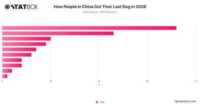 How People in China Got Their Last Dog in 2026
