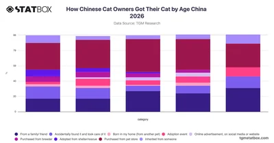 How Chinese Cat Owners Got Their Cat by Age China 2026