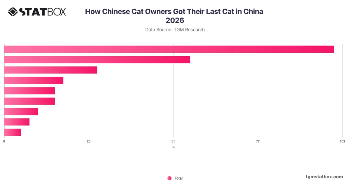 How Chinese Cat Owners Got Their Last Cat in China 2026