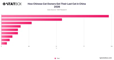 How Chinese Cat Owners Got Their Last Cat in China 2026