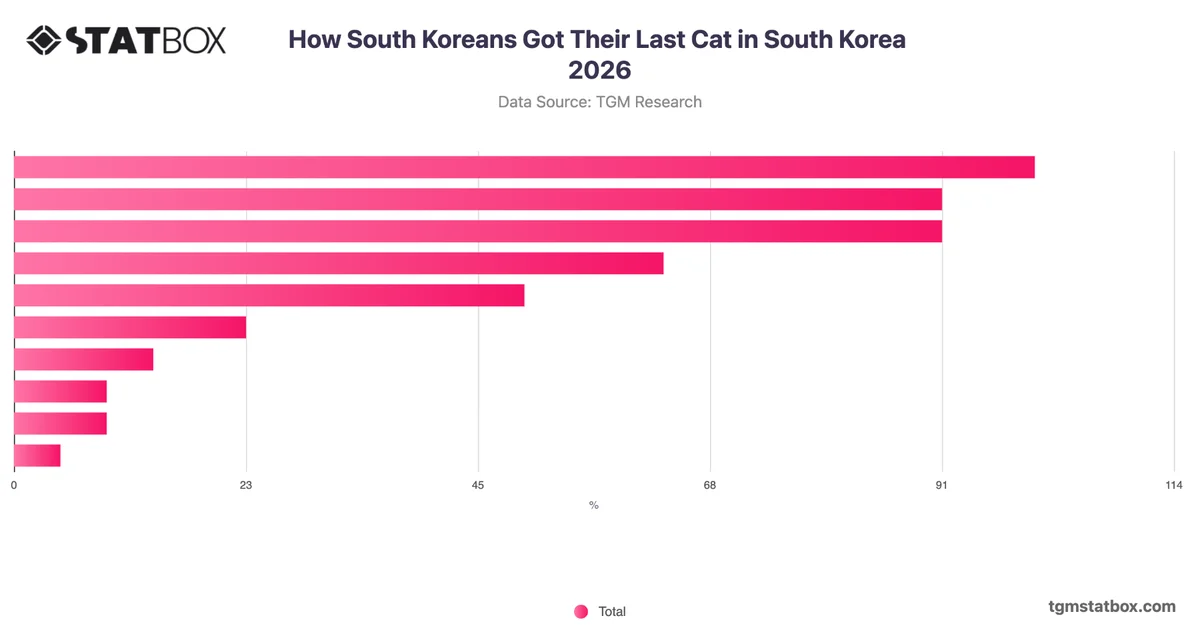 How South Koreans Got Their Last Cat in South Korea 2026