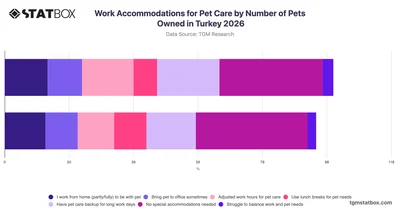 Work Accommodations for Pet Care by Number of Pets Owned in Turkey 2026