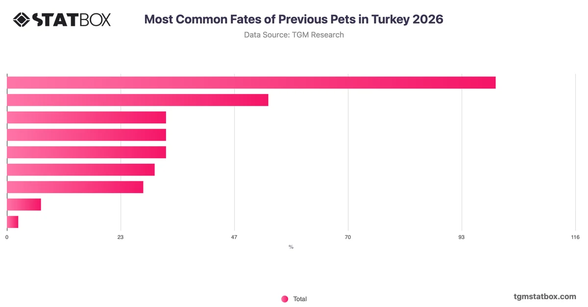 Most Common Fates of Previous Pets in Turkey 2026