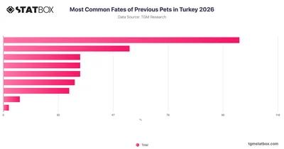 Most Common Fates of Previous Pets in Turkey 2026