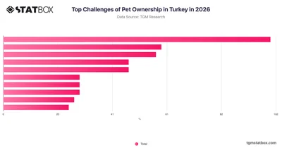 Top Challenges of Pet Ownership in Turkey in 2026
