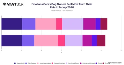 Emotions Cat vs Dog Owners Feel Most From Their Pets in Turkey 2026