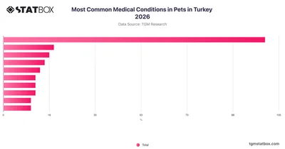 Most Common Medical Conditions in Pets in Turkey 2026