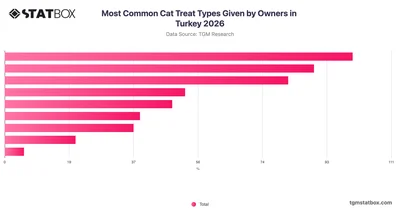 Most Common Cat Treat Types Given by Owners in Turkey 2026