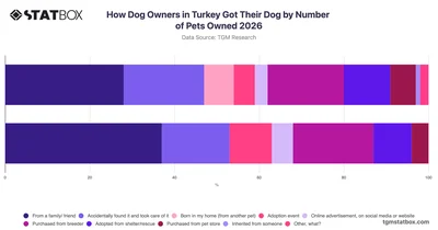 How Dog Owners in Turkey Got Their Dog by Number of Pets Owned 2026