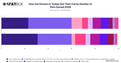 How Cat Owners in Turkey Got Their Cat by Number of Pets Owned 2026