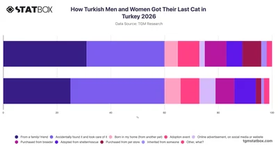 How Turkish Men and Women Got Their Last Cat in Turkey 2026