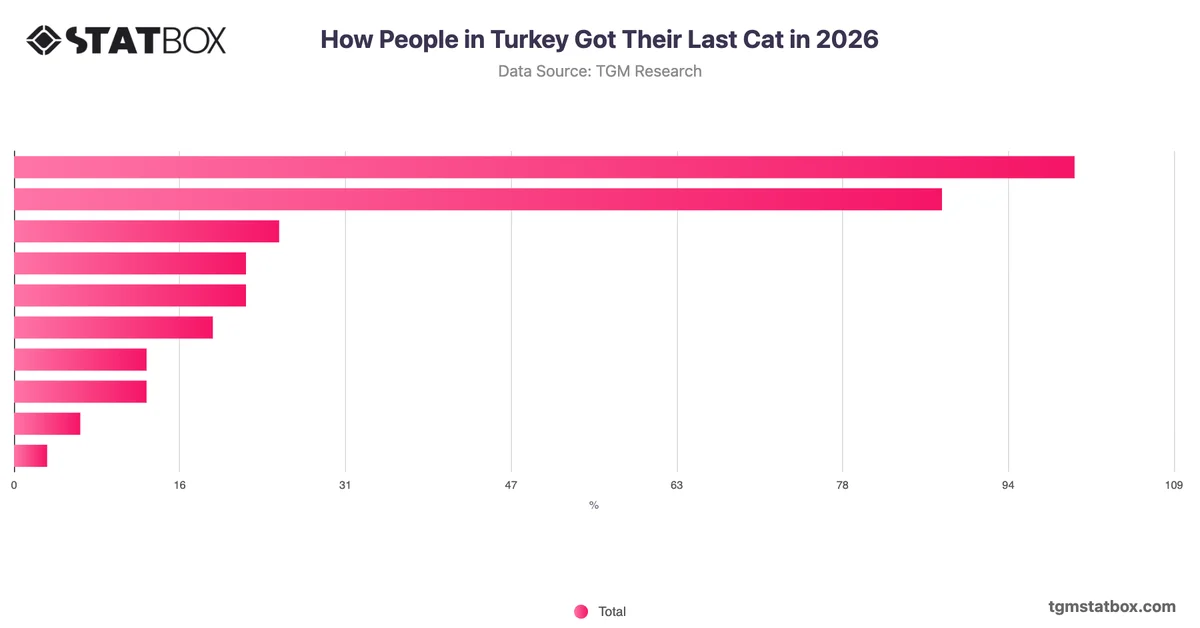 How People in Turkey Got Their Last Cat in 2026