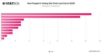 How People in Turkey Got Their Last Cat in 2026