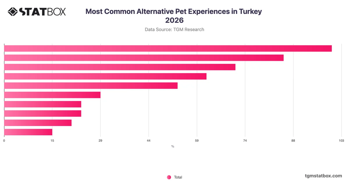 Most Common Alternative Pet Experiences in Turkey 2026